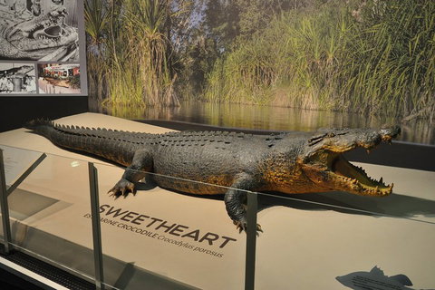 Explore Darwin City Sights Including Key Attractions - Find Attractions 2