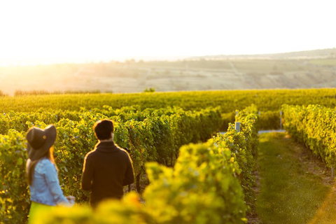 Margaret River Private Tour - Find Attractions 2