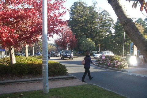 PRIVATE All-Day Blue Mountains Tour With Professional Guide For Up To 4 People - Find Attractions 1