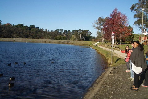 PRIVATE All-Day Blue Mountains Tour With Professional Guide For Up To 4 People - Find Attractions 2