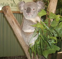Blue Mountains Private Full-Day Tour from Sydney with Cruise - Find Attractions