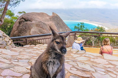 Wineglass Bay  Freycinet NP Full Day Tour from Hobart via Richmond Village