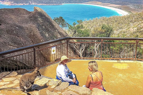 Wineglass Bay & Freycinet NP Full Day Tour From Hobart Via Richmond Village - Find Attractions 1