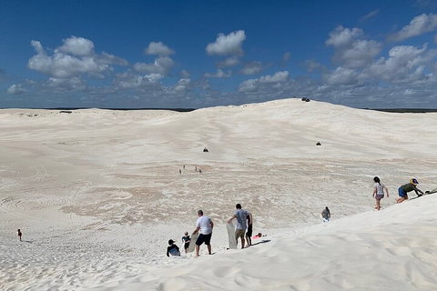 Pinnacles Day Trip From Perth Including Yanchep National Park - Find Attractions 2