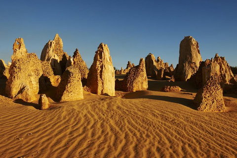 Pinnacles Day Trip From Perth Including Yanchep National Park - Find Attractions 5