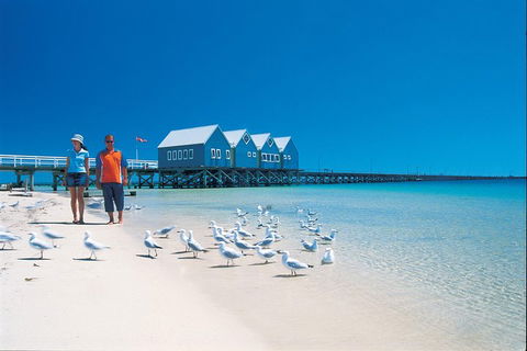 Margaret River And Geographe Bay Region Day Trip From Perth - Find Attractions 0