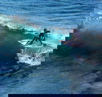Great Ocean Road Highlights Tour - 2 Days 1 Night - Find Attractions