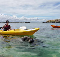 Seal Island and Penguin Island or Point Peron Sea Kayak Tour - Find Attractions