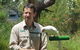 Healesville Sanctuary And Rayners Orchard Tour From Melbourne - thumb 0