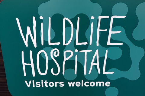 Healesville Sanctuary And Rayners Orchard Tour From Melbourne - Find Attractions 1