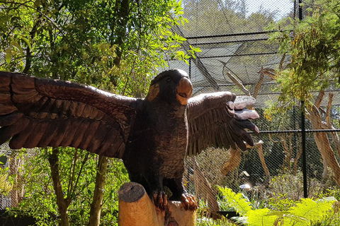 Healesville Sanctuary And Rayners Orchard Tour From Melbourne - Find Attractions 2