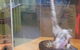 Healesville Sanctuary And Rayners Orchard Tour From Melbourne - thumb 4