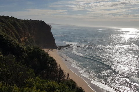 Full-Day Great Ocean Road Tour From Melbourne - Find Attractions 0