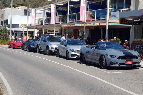 Full-Day Great Ocean Road Tour From Melbourne - Find Attractions 2