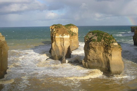 Full-Day Great Ocean Road Tour From Melbourne - Find Attractions 4
