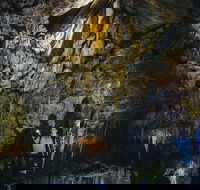 Ngilgi Cave Semi-guided Tour - Find Attractions