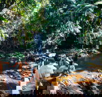Aquaduck  Your choice of Gold Coast Rainforest Tour - Find Attractions