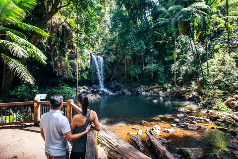 Aquaduck & Your Choice Of Gold Coast Rainforest Tour - Find Attractions 0