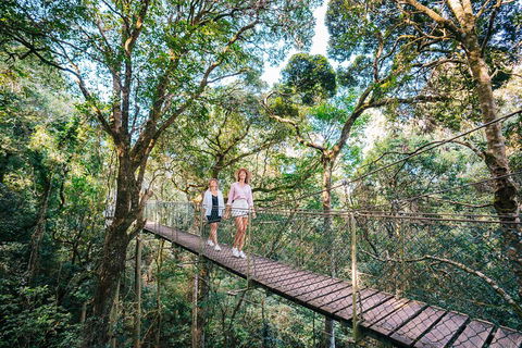 Aquaduck & Your Choice Of Gold Coast Rainforest Tour - Find Attractions 4