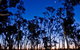 Small-Group Kangaroo Island 4WD Night Tour - thumb 2