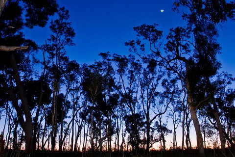 Small-Group Kangaroo Island 4WD Night Tour - Find Attractions 2