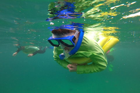 Manly Snorkel Trip And Nature Walk With Local Guide - Find Attractions 5