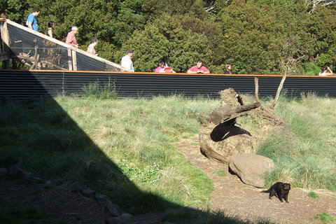 Day Keeper Tour - Find Attractions 2