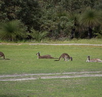 Yanchep  Lancelin - Wildlife Cave And Sands - Find Attractions