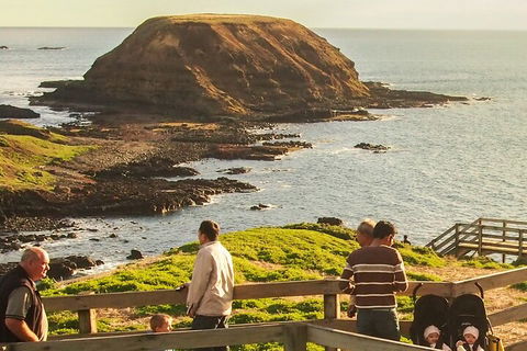 Healesville Sanctuary And Phillip Island Wildlife Bus Tour - Find Attractions 3