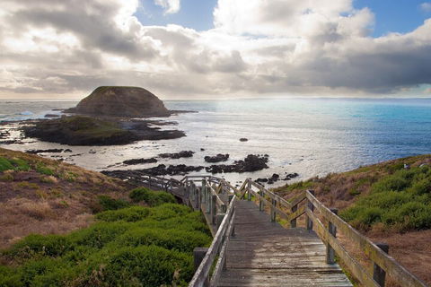 Healesville Sanctuary And Phillip Island Wildlife Bus Tour - Find Attractions 5