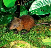 3-Day Small-Group Tour of North Queensland with Pick Up - Find Attractions
