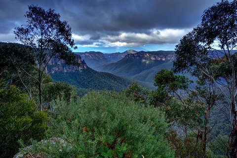 Ultimate Blue Mountains And Wildlife Tour - Find Attractions 1