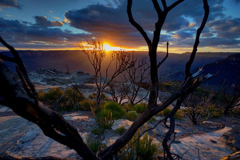 Ultimate Blue Mountains And Wildlife Tour - Find Attractions 2