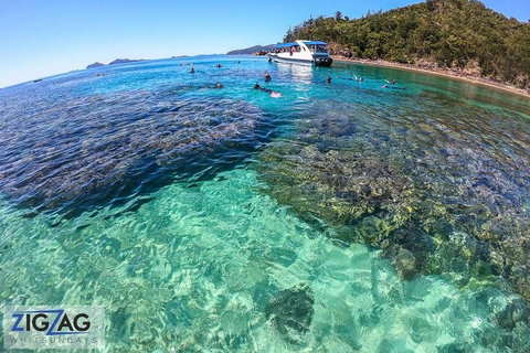 Whitehaven Beach Day Tour With Snorkel In Whitsundays Island - Find Attractions 5