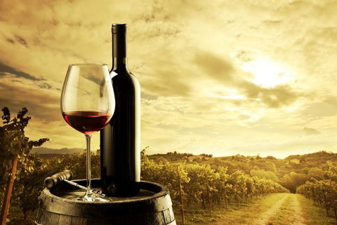 Barossa Valley Cellar Doors Luxury Wine Tour - Find Attractions 0