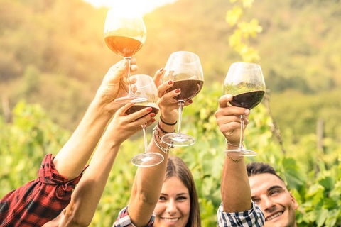 Barossa Valley Cellar Doors Luxury Wine Tour - Find Attractions 1