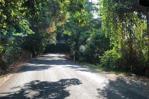 Cairns To Cooktown 4WD Tour - Find Attractions 0