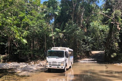 Cairns To Cooktown 4WD Tour - Find Attractions 5
