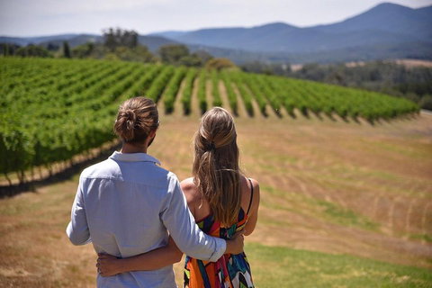 Yarra Valley Wine, Bubbles And Gin Tour! - Find Attractions 4