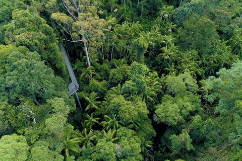 Natural Bridge, Skywalk And Mt Tamborine Adventure! - Find Attractions 2