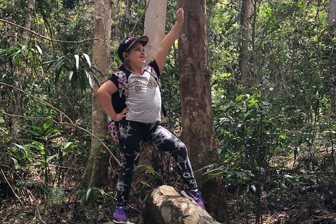 Natural Bridge, Skywalk And Mt Tamborine Adventure! - Find Attractions 3