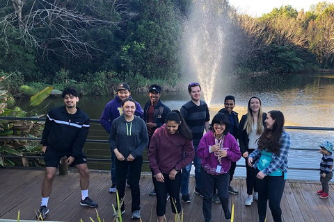 Natural Bridge, Skywalk And Mt Tamborine Adventure! - Find Attractions 4