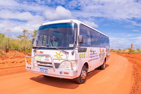 Malcolm Douglas Crocodile Park Tour Including Transportation - Find Attractions 3