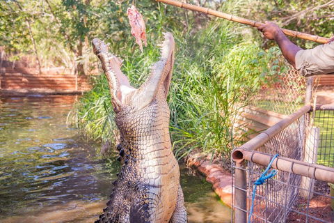 Malcolm Douglas Crocodile Park Tour Including Transportation - Find Attractions 5