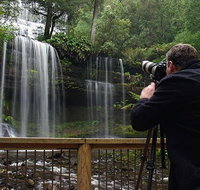 Mt Field and Styx Valley Photography Tour - Find Attractions