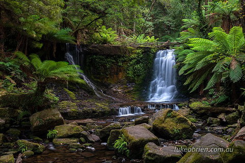 Mt Field And Styx Valley Photography Tour - Find Attractions 3