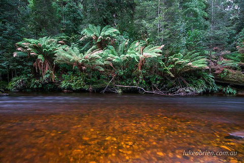 Mt Field And Styx Valley Photography Tour - Find Attractions 4