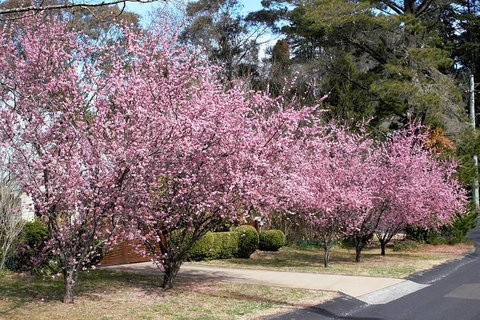 Blue Mountains - Find Attractions 1