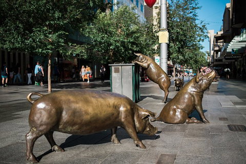 Guided Walking Tour In Adelaide - Find Attractions 4