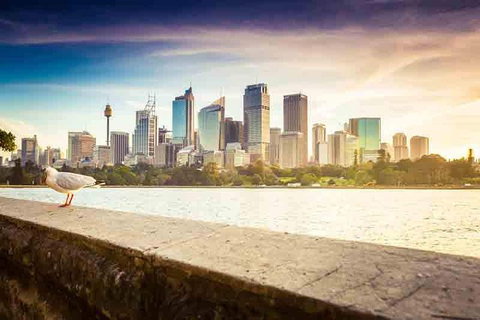 Private Sydney City And Bondi Beach Half Day Tour - Find Attractions 2